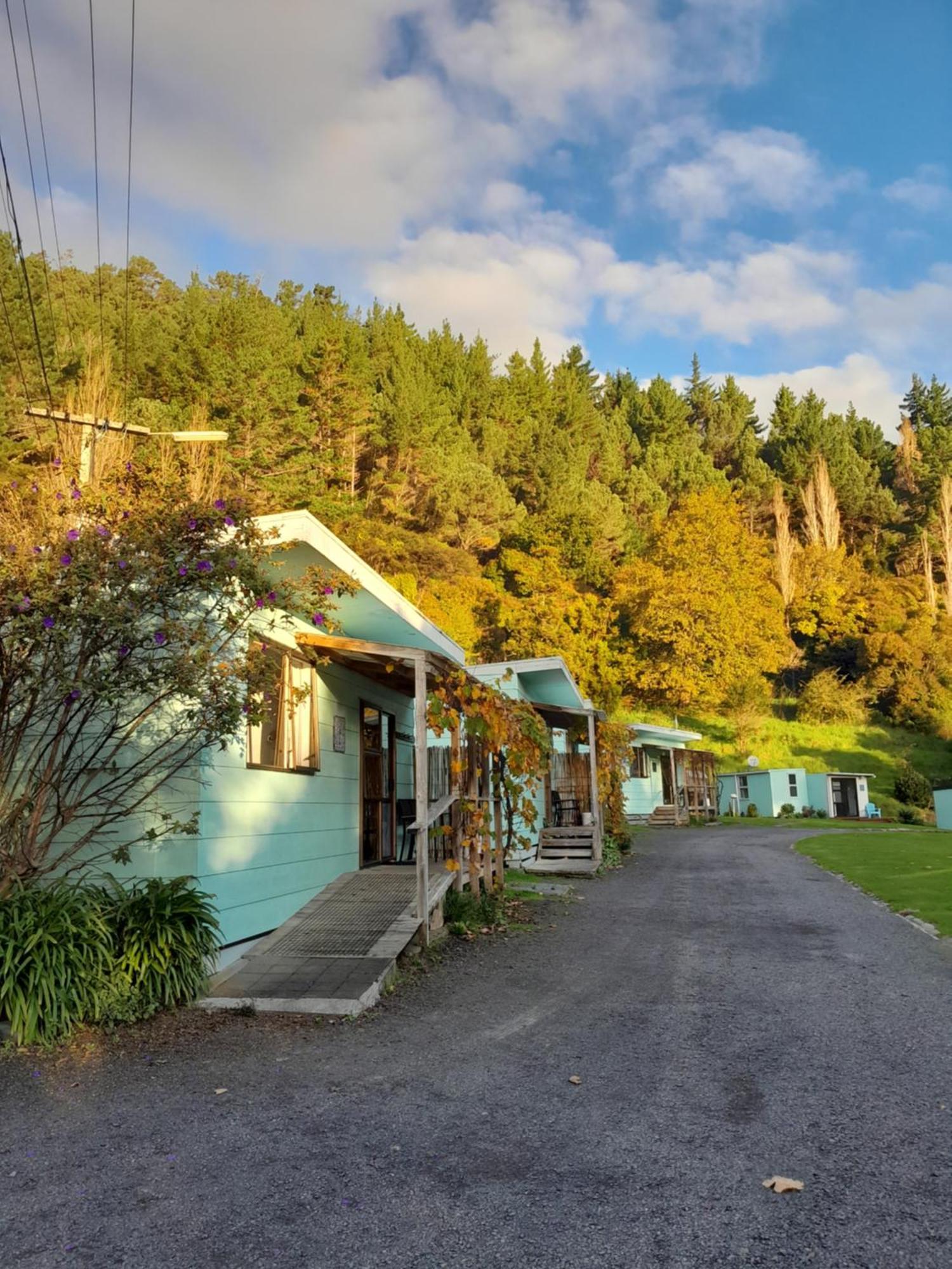 Dickson Holiday Park Thames Bagian luar foto